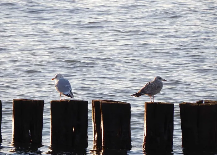 Mit Stil * ロストック